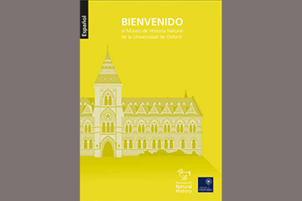 espanol2