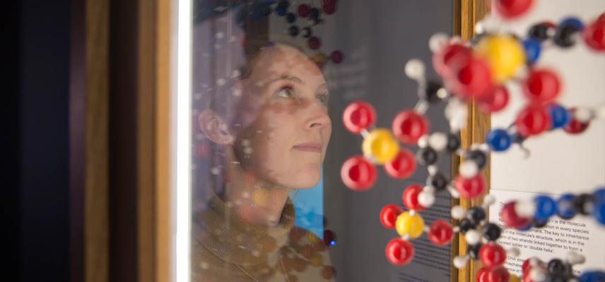 Exhibition in the Upper Gallery Museum of Natural History in Oxford