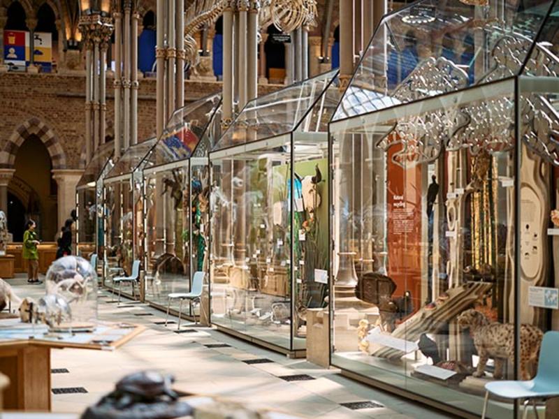 A view of the 'Life As We Know It' display cases A view of the 'Life As We Know It' display cases
